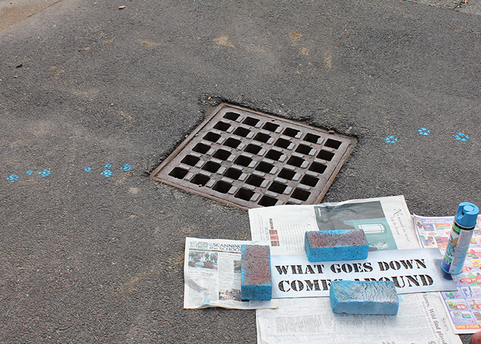 Drain Campaign