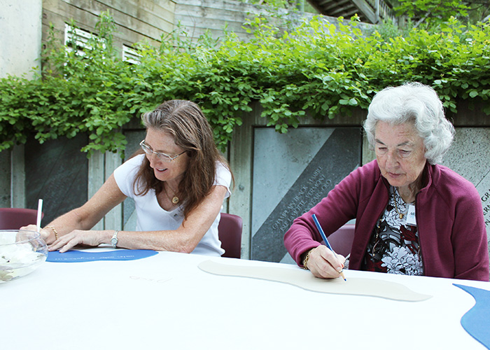 Stream of Conscience - Montshire Museum of Science