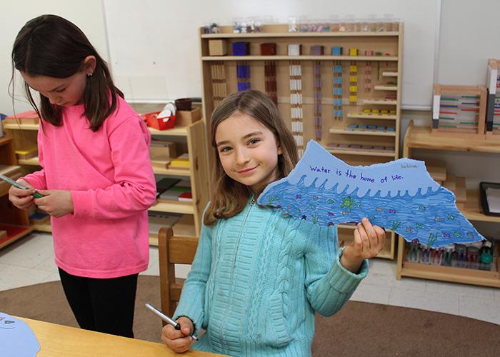 Stream of Conscience - Squam Lakes Natrual Science Center